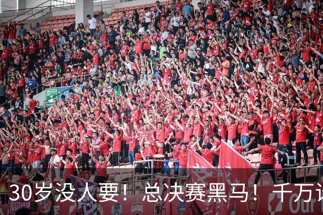 30岁没人要！总决赛黑马！千万诈骗犯！还有机会吗？
